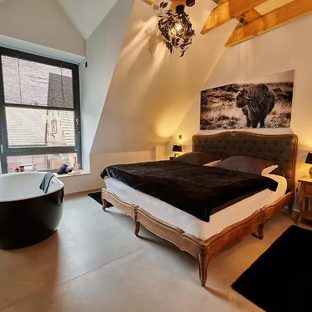 Ferienwohnungen Und Zimmer Hof Holtmann Münster Eksteriør billede